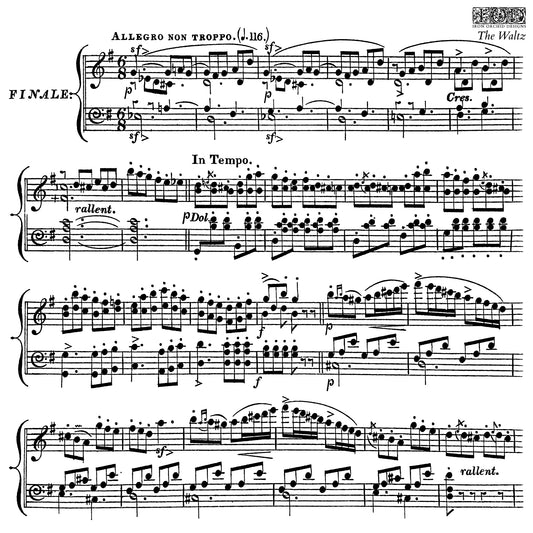 Iron Orchid Designs - The Waltz Decor Stamp