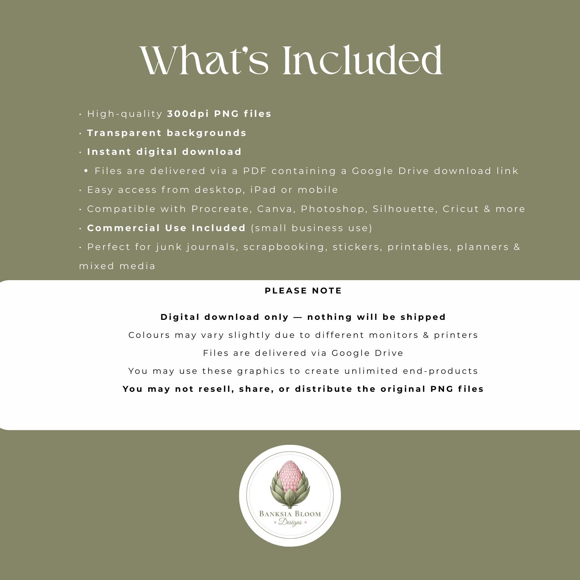 Clipart - Commercial Use PNG Bundle - Garden Critters